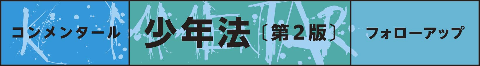 コンメンタール少年法〔第２版〕フォローアップ