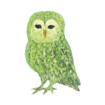 日替わりフクロウ