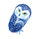日替わりフクロウ
