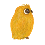 日替わりフクロウ