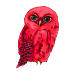 日替わりフクロウ