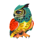 日替わりフクロウ