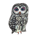 日替わりフクロウ