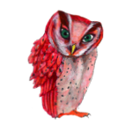 日替わりフクロウ