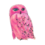 日替わりフクロウ