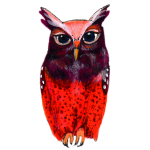 日替わりフクロウ