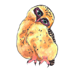 日替わりフクロウ