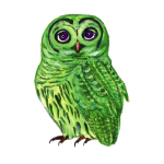 日替わりフクロウ