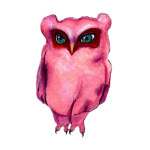 日替わりフクロウ