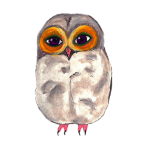 日替わりフクロウ