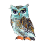 日替わりフクロウ