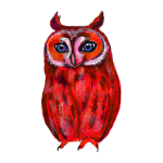 日替わりフクロウ