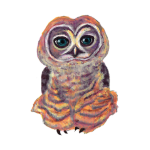 日替わりフクロウ