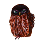 日替わりフクロウ