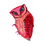 日替わりフクロウ