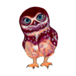 日替わりフクロウ