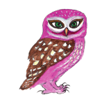 日替わりフクロウ