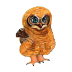 日替わりフクロウ