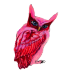 日替わりフクロウ