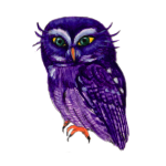 日替わりフクロウ