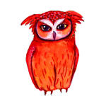 日替わりフクロウ