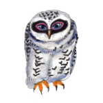 日替わりフクロウ