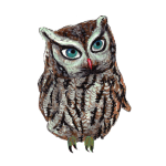 日替わりフクロウ