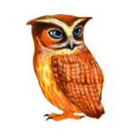 日替わりフクロウ