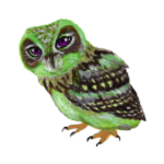 日替わりフクロウ