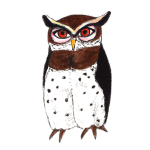 日替わりフクロウ