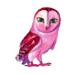 日替わりフクロウ