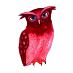 日替わりフクロウ