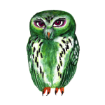 日替わりフクロウ