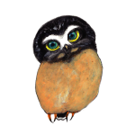 日替わりフクロウ