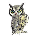 日替わりフクロウ