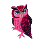日替わりフクロウ