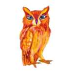 日替わりフクロウ