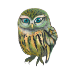 日替わりフクロウ