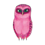 日替わりフクロウ