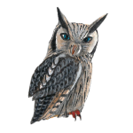 日替わりフクロウ