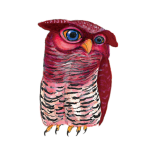 日替わりフクロウ